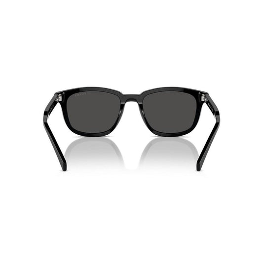 Men's Sunglasses, Pr A21S