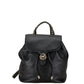 Leather Backpack (Pre-Owned)