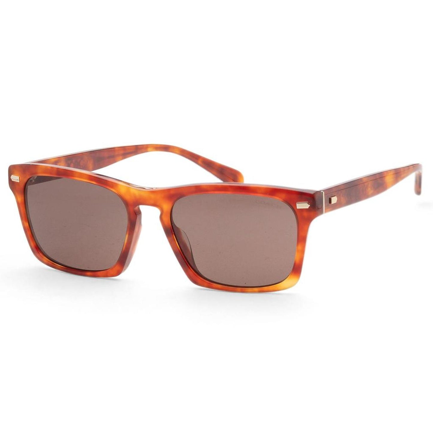 Coach Men's 57mm Caramel Tortoise Sunglasses