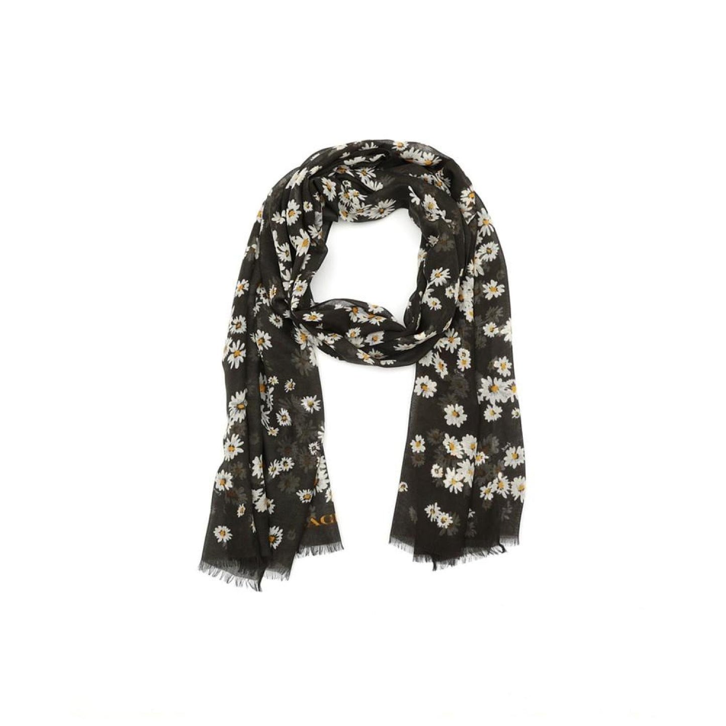 Women's Daisy Cluster Printed Oblong Scarf