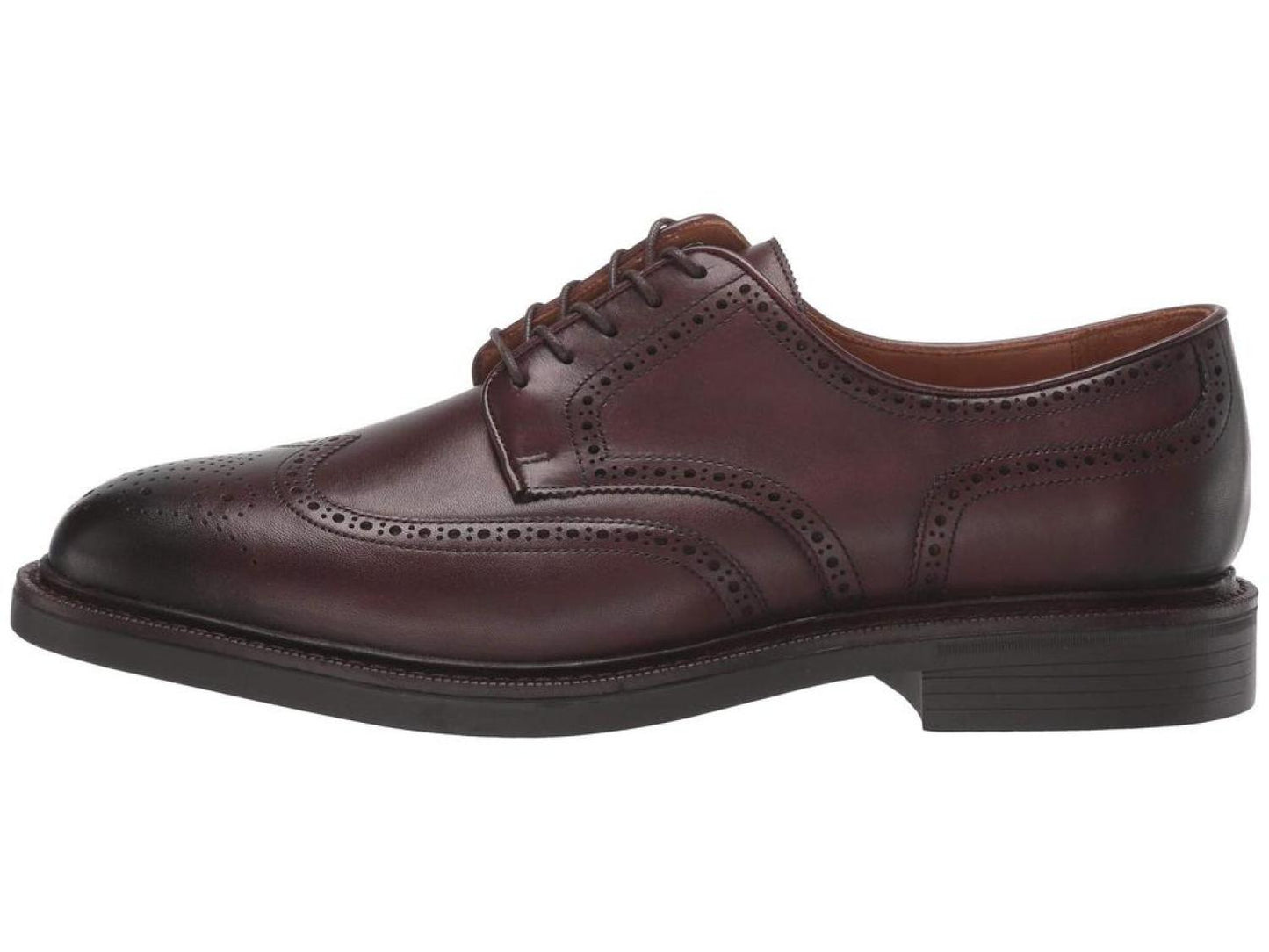 Asher Wing Tip