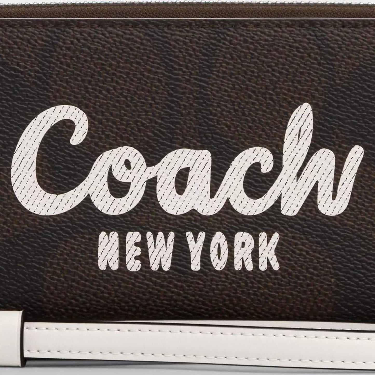 Long Zip Around Wallet In Signature Canvas With Coach Graphic