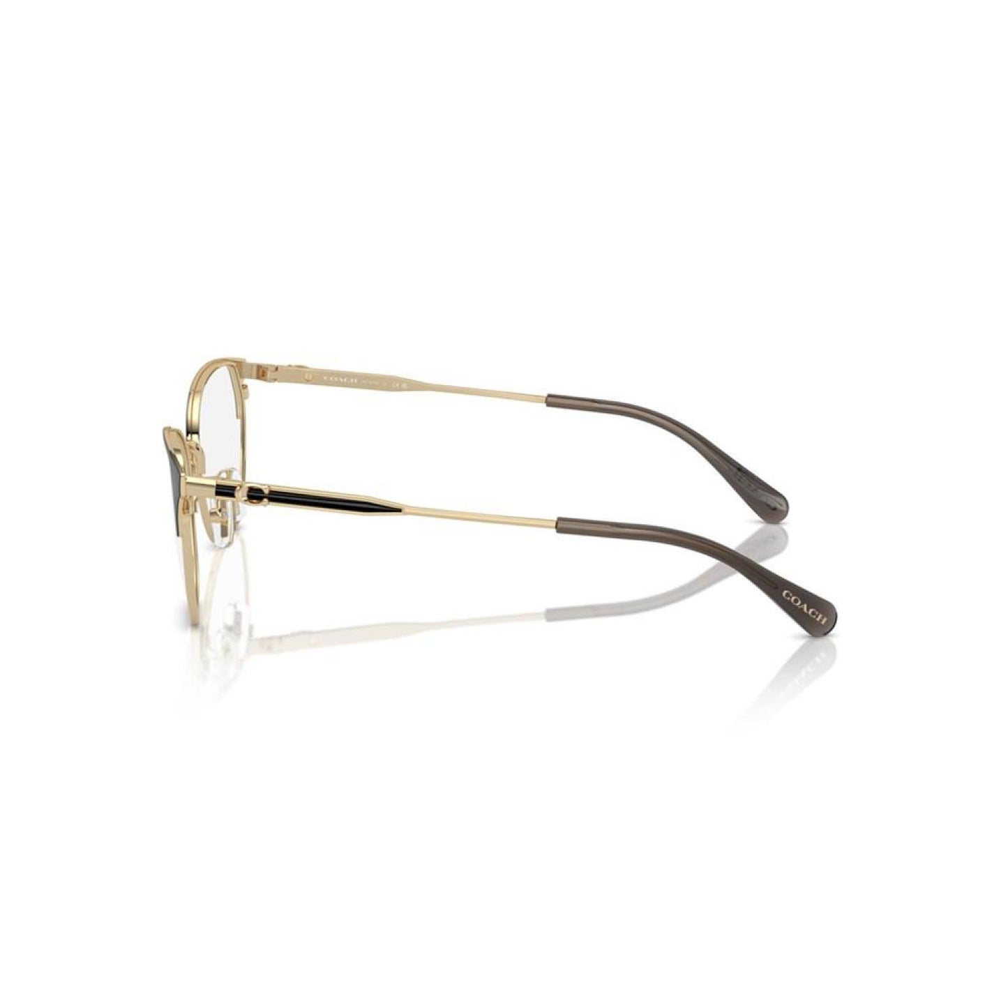 Women's Eyeglasses, HC5169