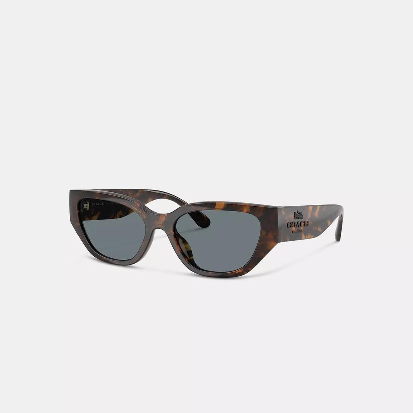 Coach Outlet Geometric Cat Eye Sunglasses