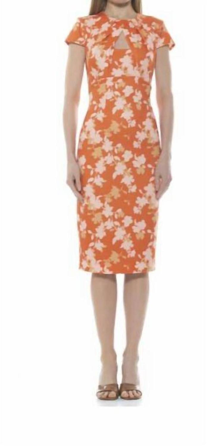 Janine Dress In Orange Floral