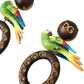 Dolce & Gabbana Multicolor Parrot Wood Brass Crystal Embellished Earrings