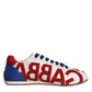 Dolce & Gabbana Multicolor Leather Logo Casual Sneakers Shoes