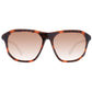 Guess Brown Unisex Sunglasses