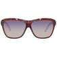 Swarovski Brown Injected Sunglasses