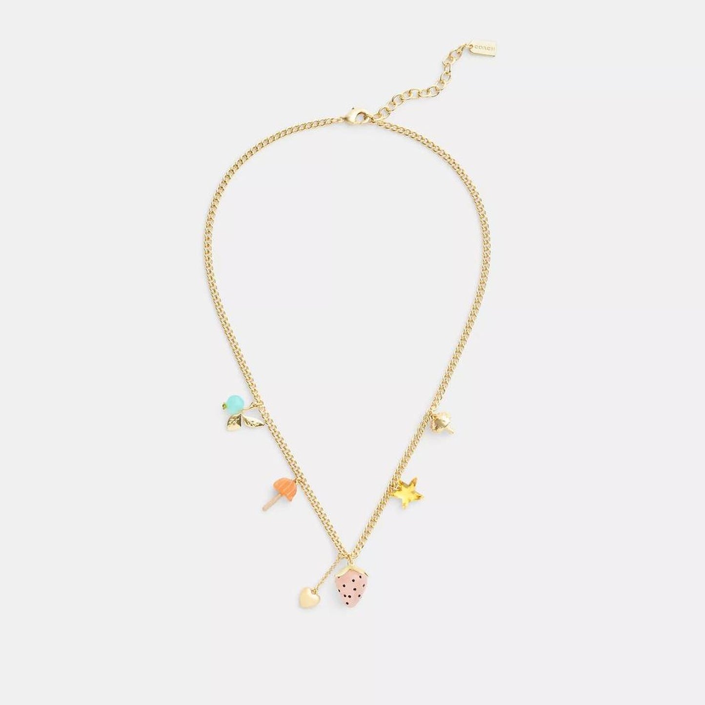 Coach Outlet Coach X Observed By Us Strawberry Heart Charm Necklace