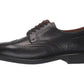 Asher Wing Tip