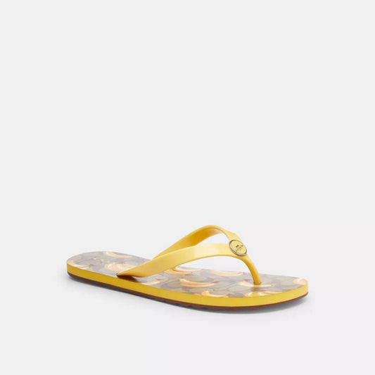 Coach Outlet Zayn Flip Flop With Fruit Print