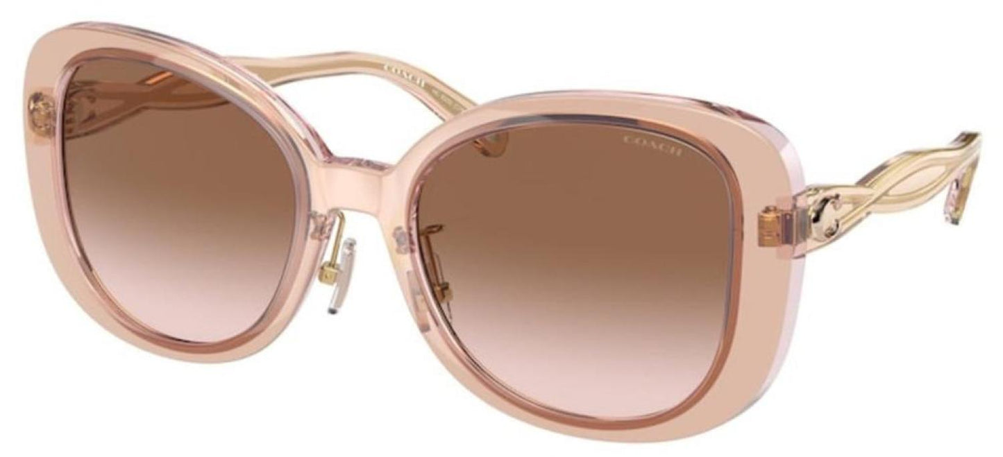 Coach Women's 53mm Transparent Blush Sunglasses