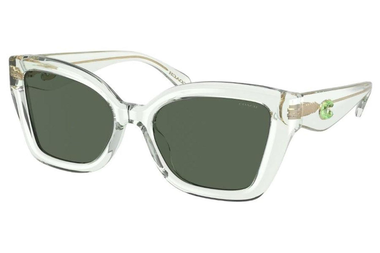 Coach Women's 54mm Transparent Pistachio Sunglasses