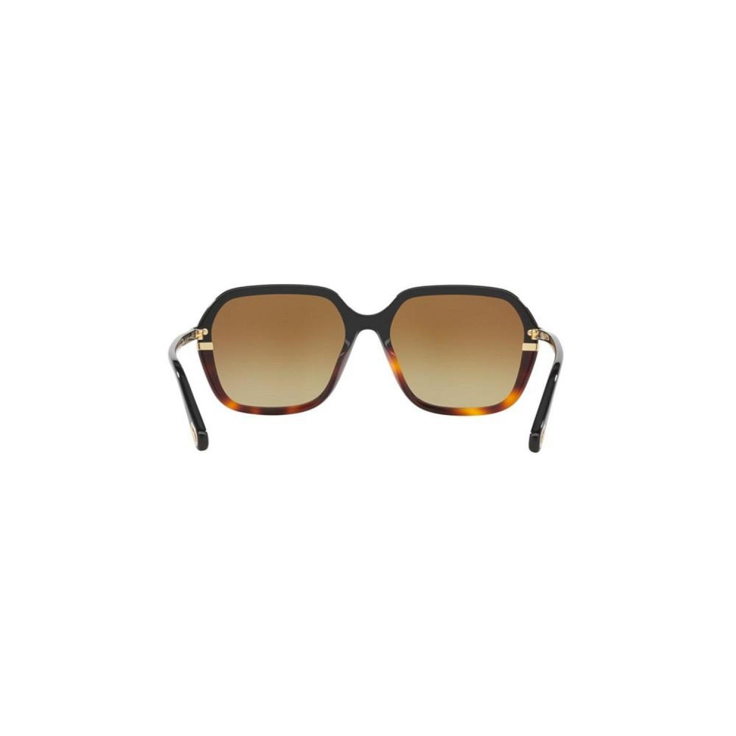 Women's Sunglasses, Ch0204S 6N000513