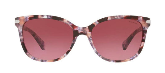 Coach 0HC8132 55488H Cat Eye Sunglasses