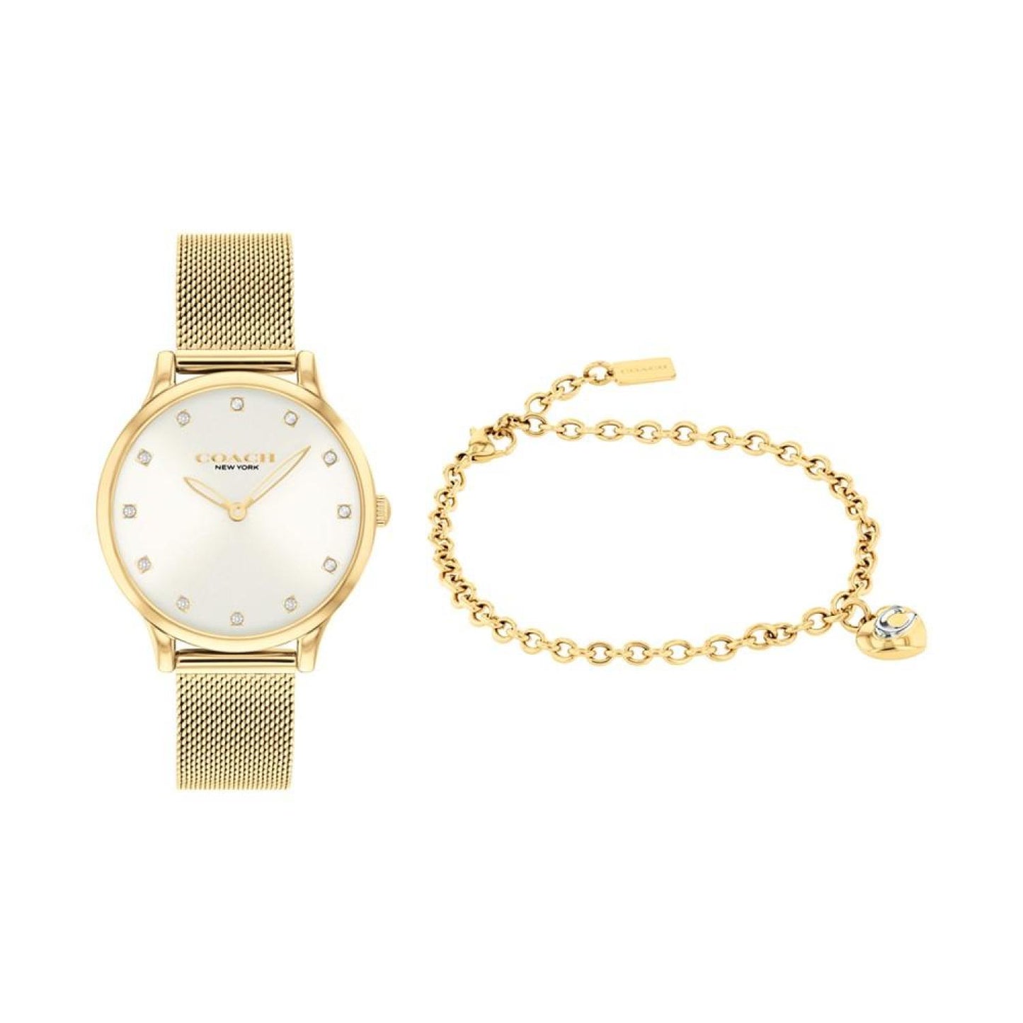 Women's Chelsea Ionic Gold Stainless Steel Watch