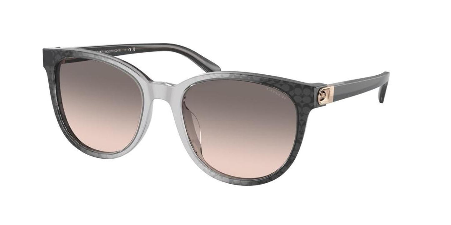 Coach Women's 54mm Grey Gradient Signature C Sunglasses