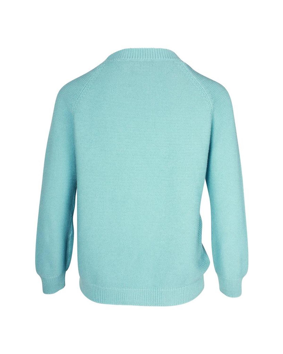 Weekend by Max Mara Crewneck Knit Sweater in Blue Cotton