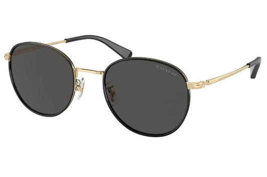 Coach Men's 52mm Shiny Light Gold / Black Sunglasses