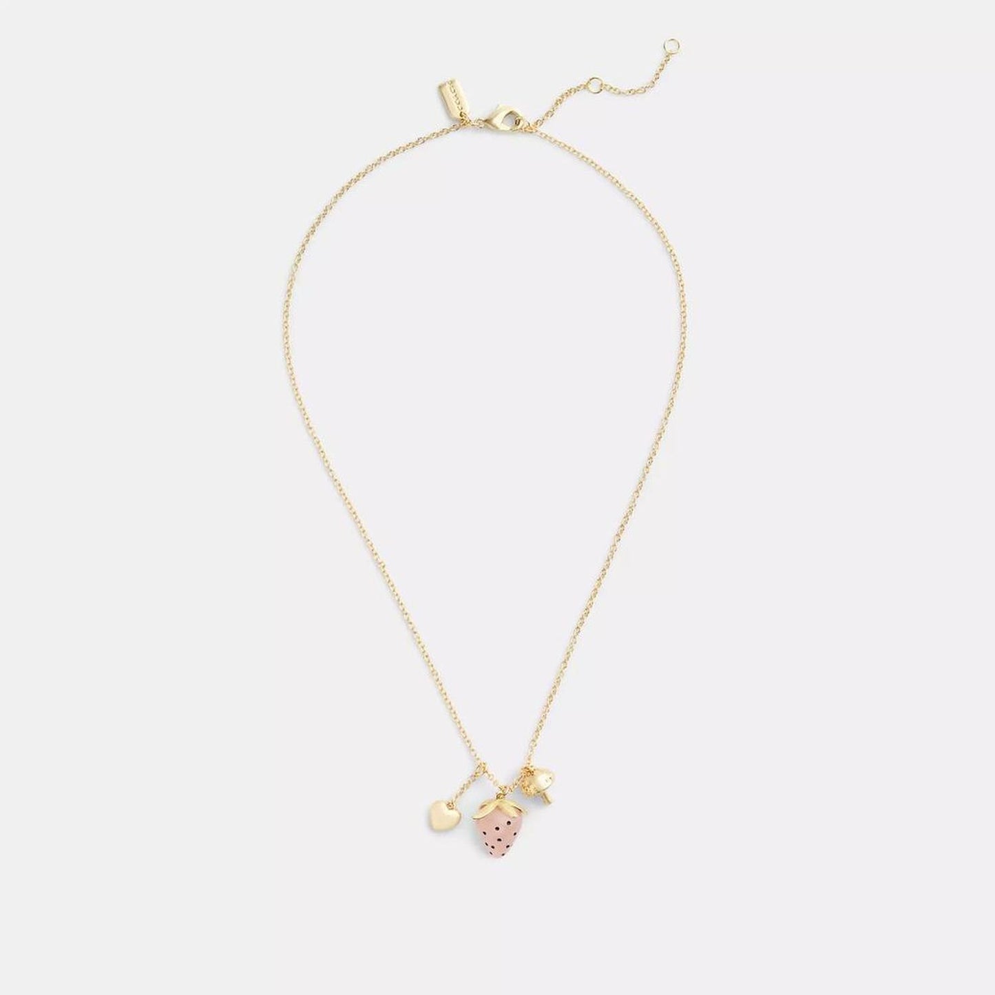 Coach Outlet Coach X Observed By Us Strawberry Charm Pendant Necklace