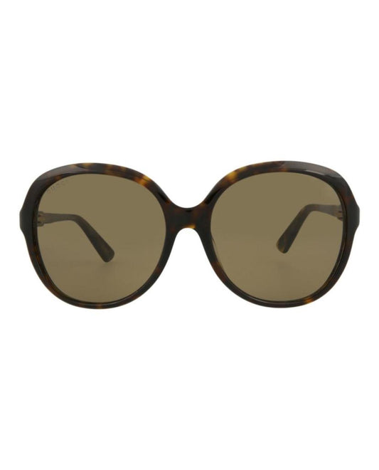 Round-Frame Acetate Sunglasses