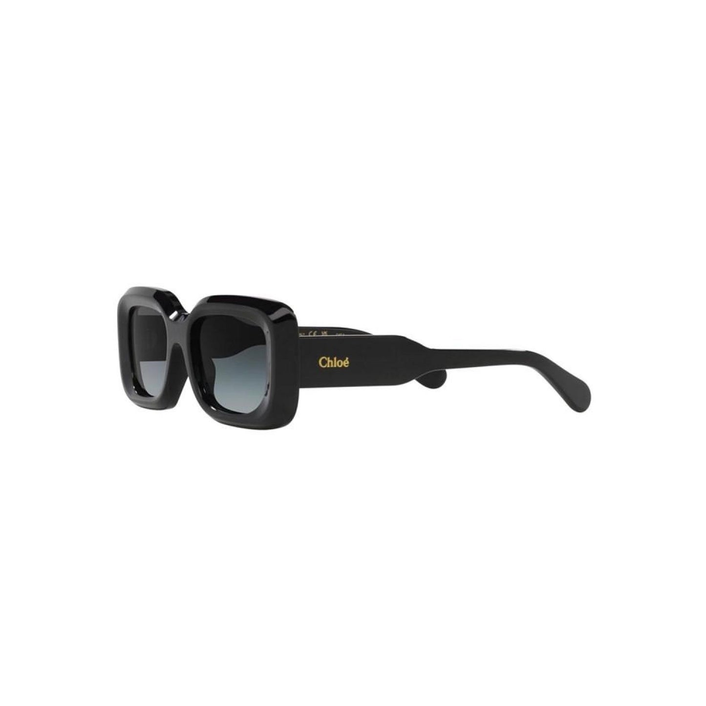 Women's Sunglasses, Ch0188S 6N000505