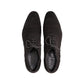 Saint Laurent Lace-Up Oxfords in Brown Suede