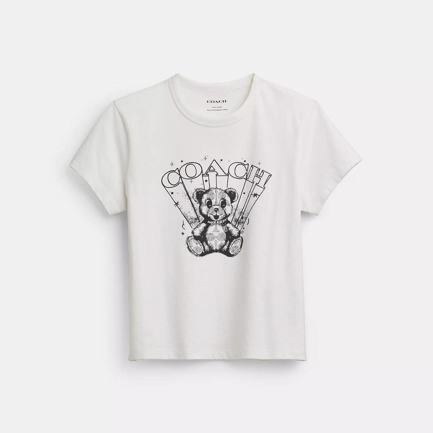 Play Bear T Shirt In Organic Cotton