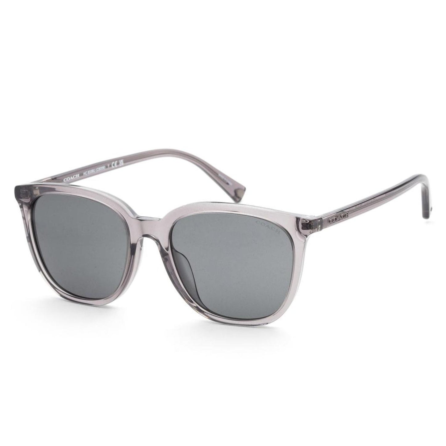 Coach Men's 55mm Transparent Dark Grey Sunglasses