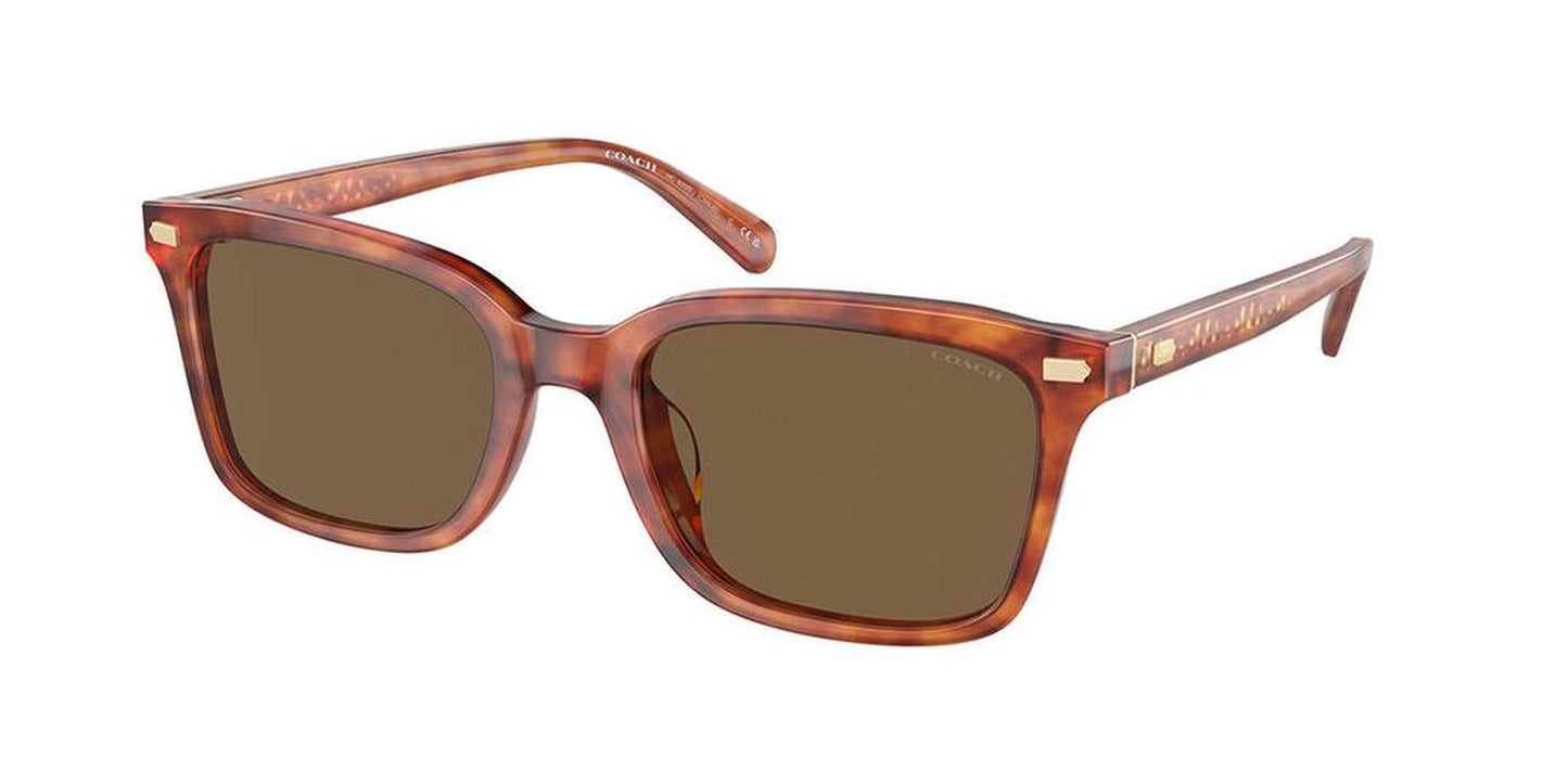 Coach Men's 54mm Caramel Tortoise Sunglasses