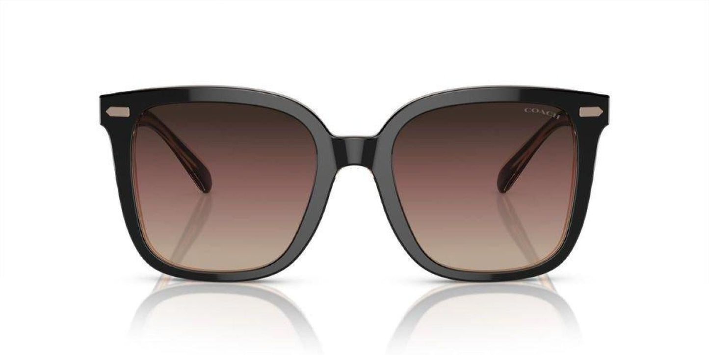 Coach Butterfly Frame Sunglasses