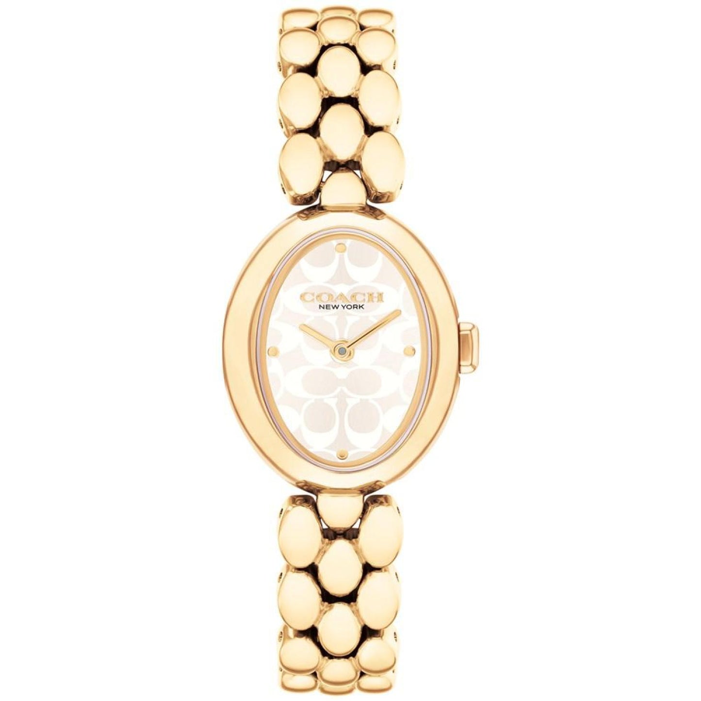 Women's Gold Sammy Stainless Steel Watch 22.5mm