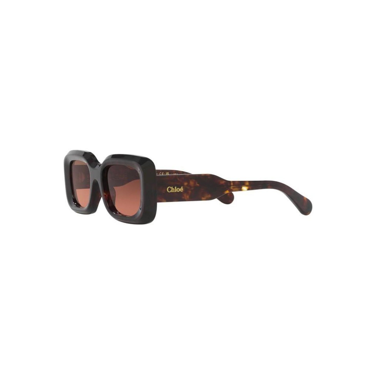 Women's Sunglasses, Ch0188S 6N000505