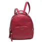 Backpack (Pre-Owned)