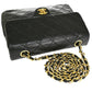 Chanel Mini Matelassé  Pony-Style Calfskin Shoulder Bag (Pre-Owned)