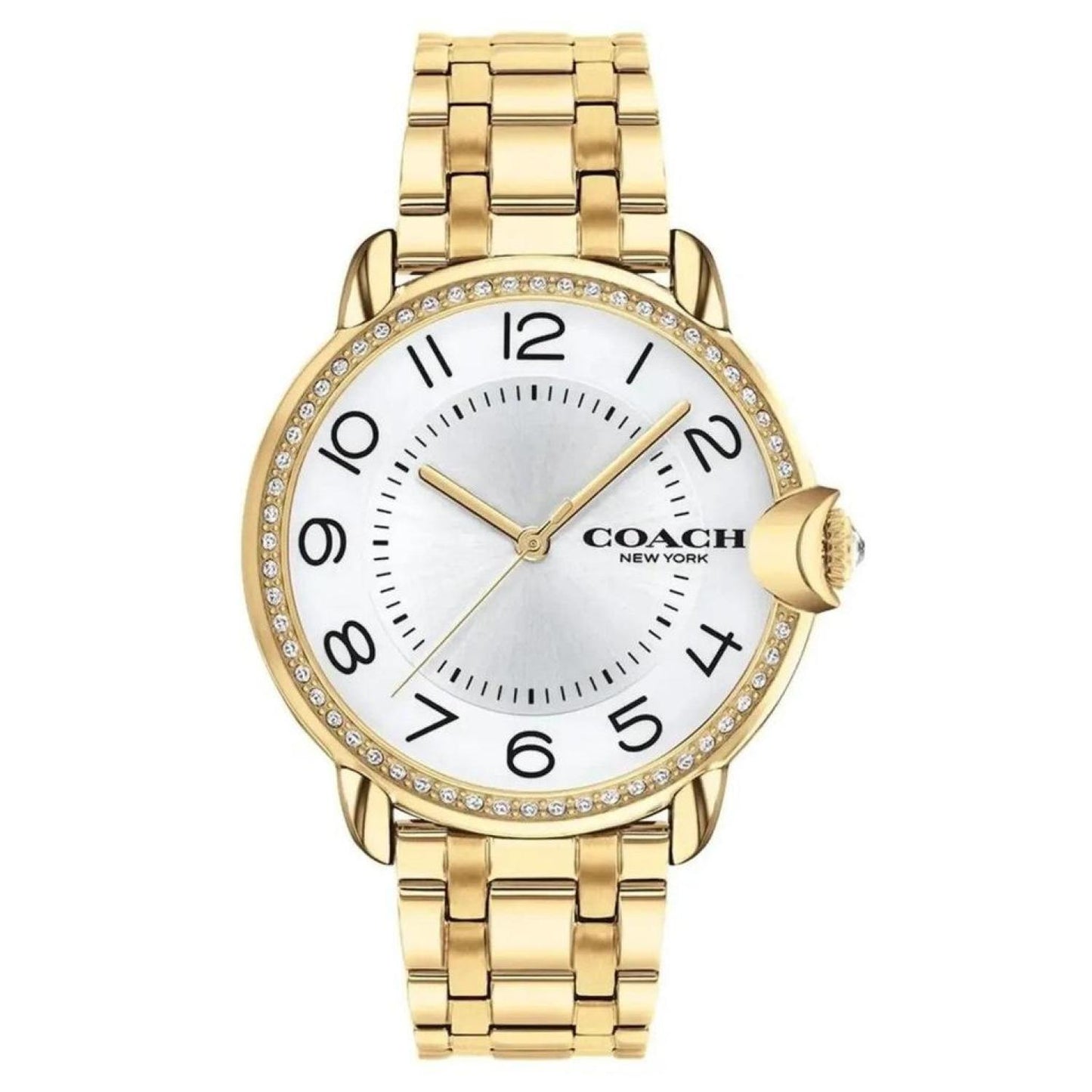 Coach Women's Arden 36mm Quartz Watch