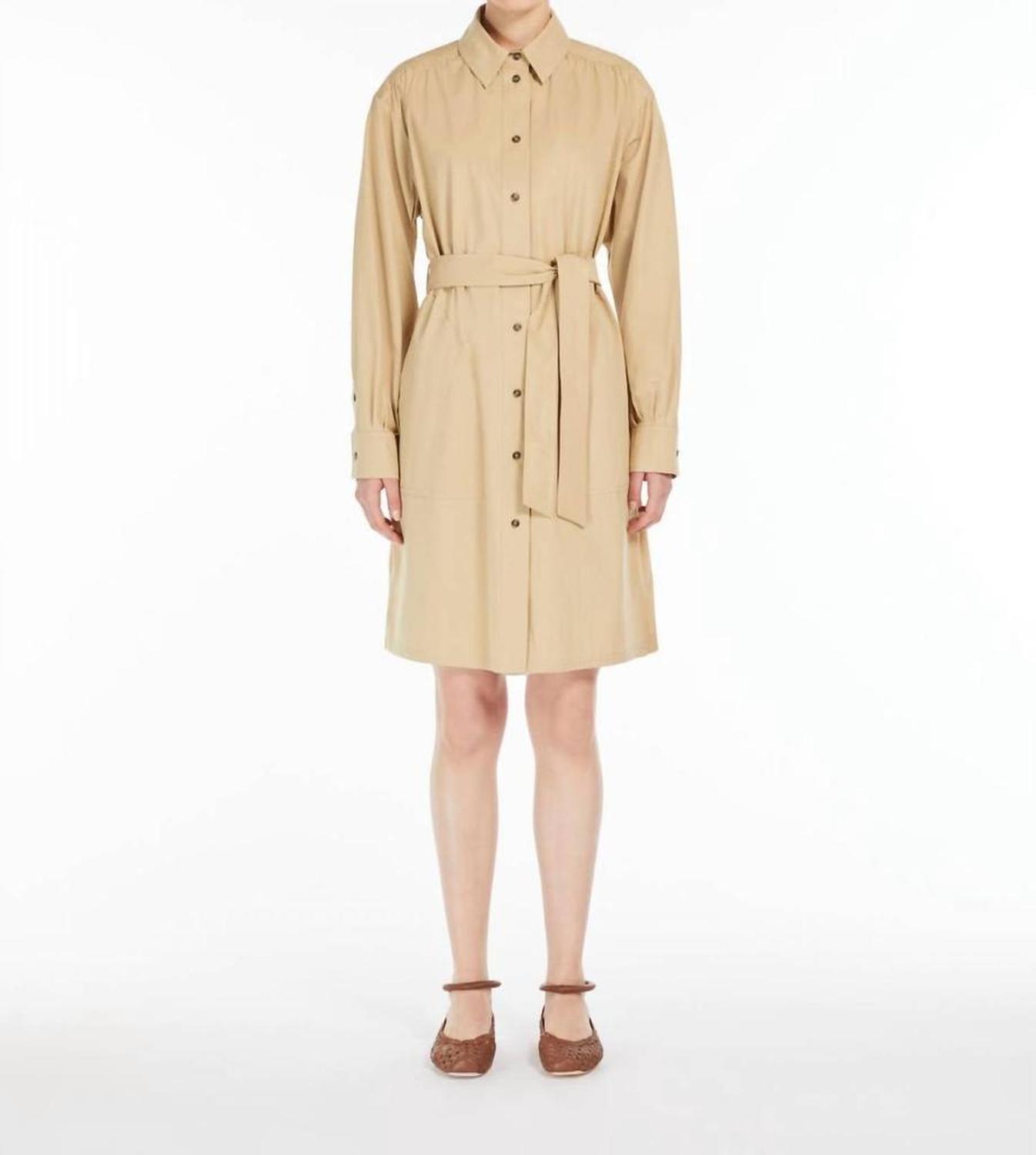 Weekend Virgus Poplin Shirt Dress In Colonial