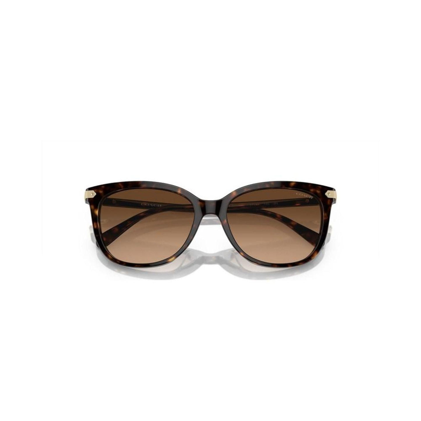 Women's CL926 Sunglasses, Gradient HC8378U