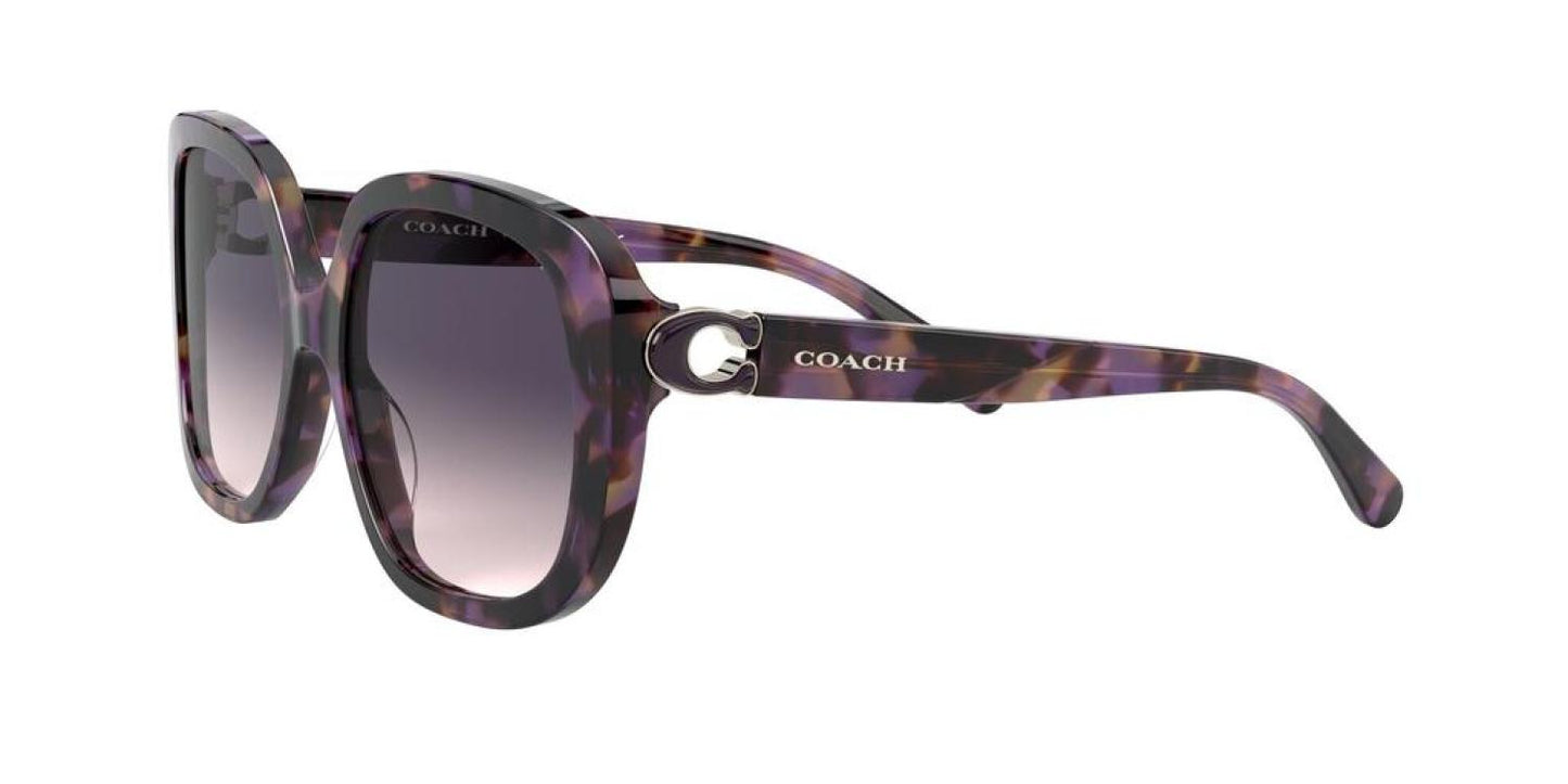 Coach 0HC8292 561236 Oversized Square Sunglasses