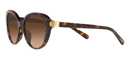 Coach 0HC8348U 512074 Cat Eye Sunglasses