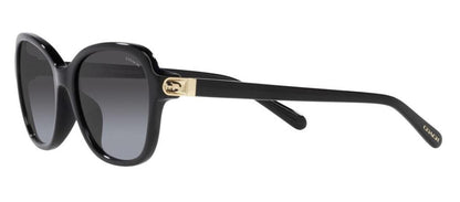 Coach 0HC8349U 50028G Butterfly Sunglasses