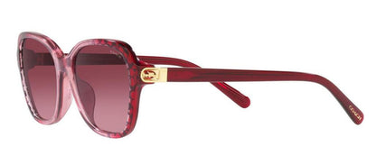 Coach 0HC8349U 57098H Butterfly Sunglasses