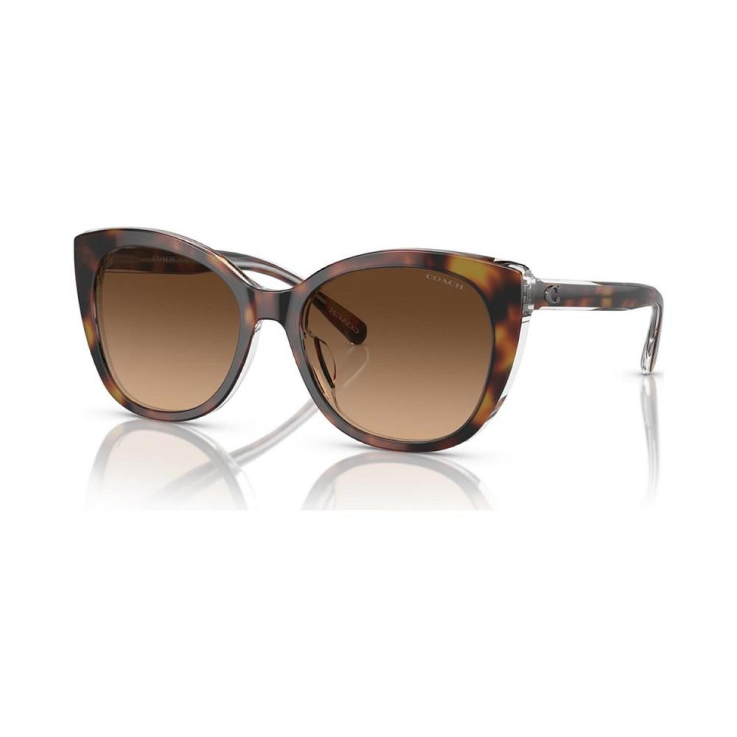 Women's Sunglasses, HC8365U55-Y 55