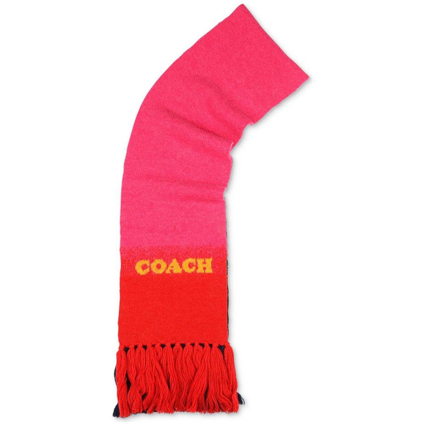 Women's Colorblocked Ombré Knit Scarf