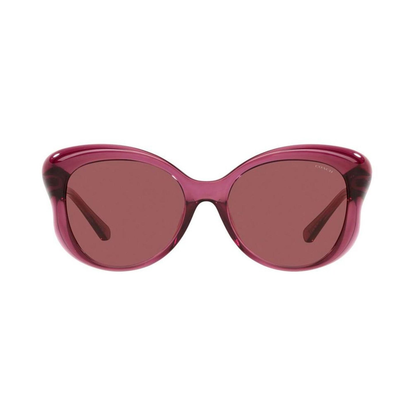 Women's Sunglasses, HC8307U 55 L1170