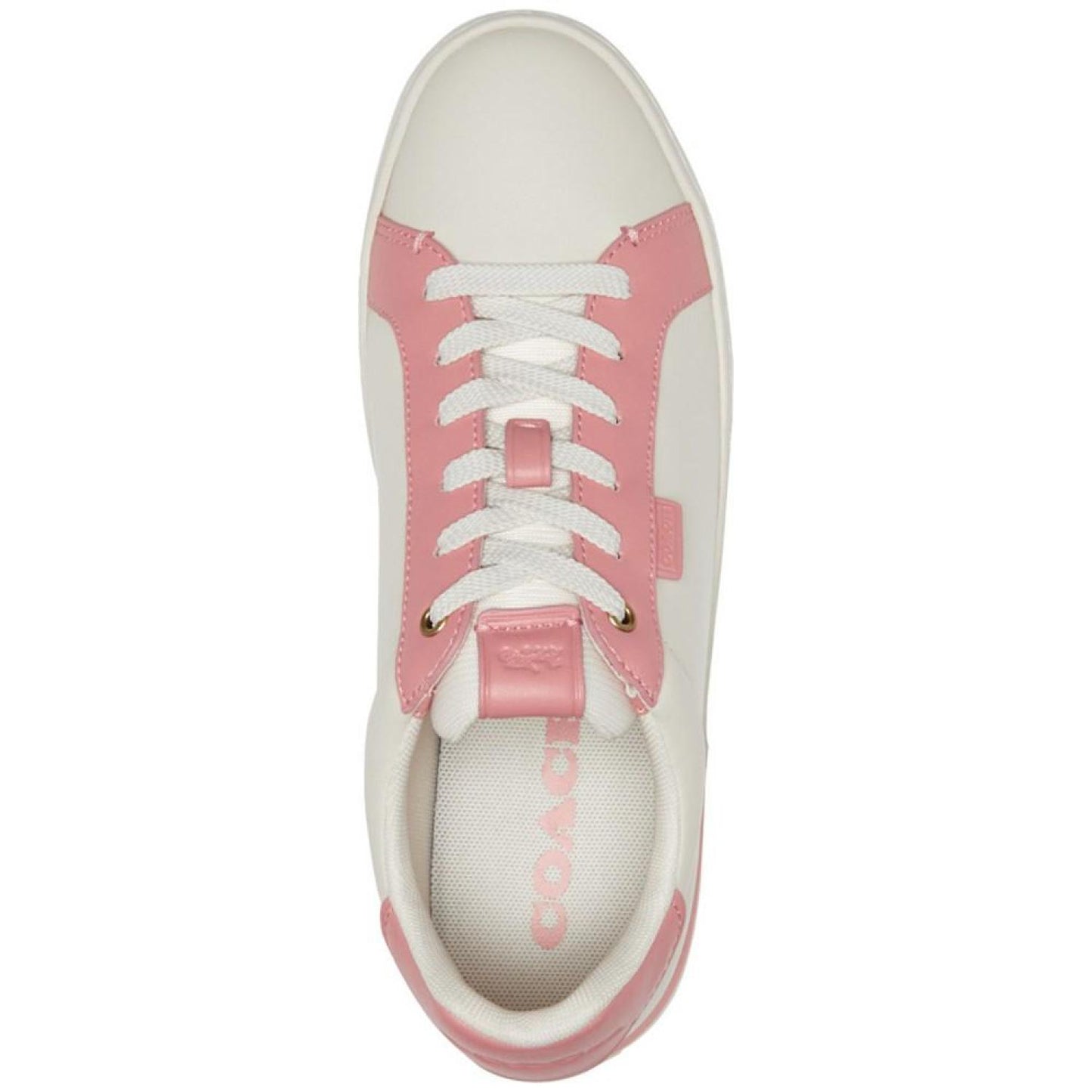 Women's Lowline Lace Up Low Top Signature Sneakers