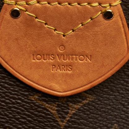 Louis Vuitton Monogram Marais MM Canvas Handbag (Pre-Owned)