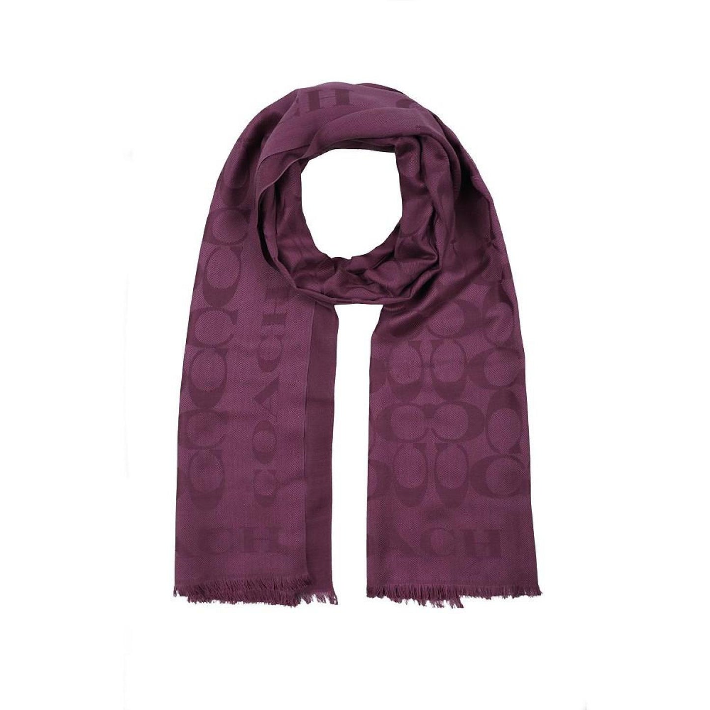 Women's Signature Border Scarf