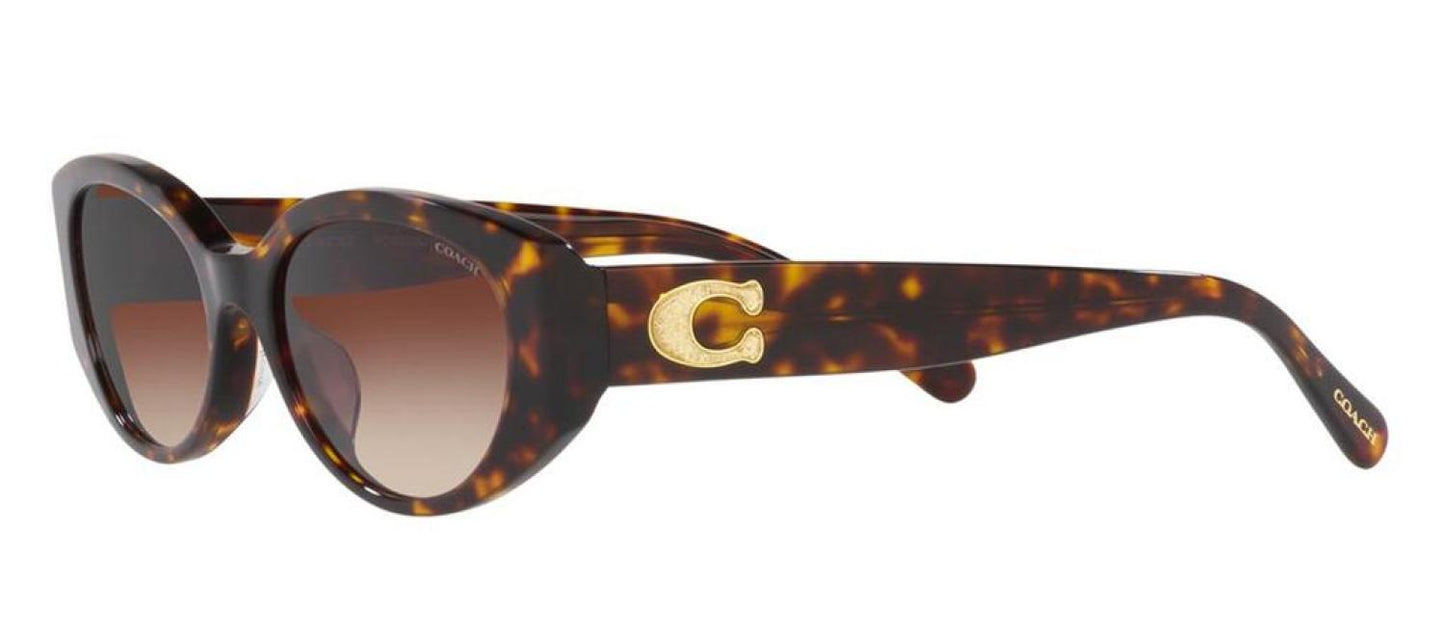 Coach 0HC8353U 512013 Oval Sunglasses